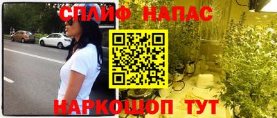 гашик Железногорск
